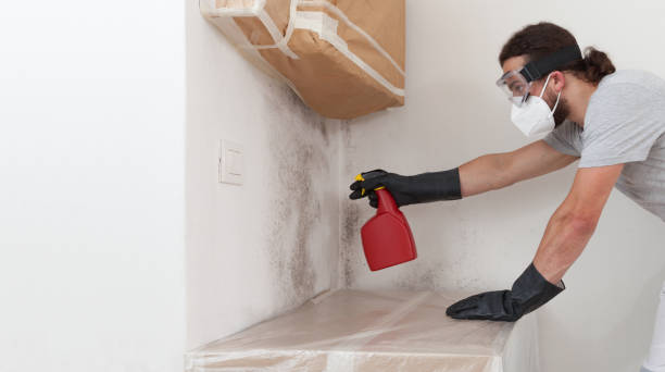 Professional Mold Cleanup technician working in Milltown, NJ