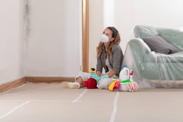 Reliable Mold Cleanup contractor in Milltown, NJ by WQB Mold Removal